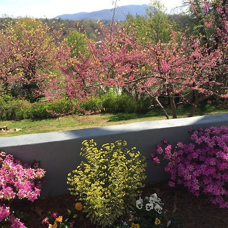 Biltmore Village Inn B&B Эшвилл Экстерьер фото